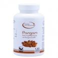 EL COMPRA Pangam (Vitamin B15) / 120 Caps