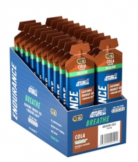 APPLIED NUTRITION Breathe Isotonic Energy Gel - Open Your Airwaves / 20 x 60 g