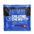 ANIMAL Creatine Chews / 4 Chews