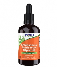 NOW Echinacea & Goldenseal Glycerite / 59 ml