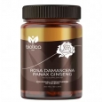 BIOTICA Rose and Ginseng Extract / 60 Caps