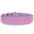 BIOTECH USA BODYBUILDING Leather Belt / Purple