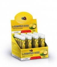 PURE NUTRITION L-Carnitine 2000 with Green Tea & Guarana / 25 ml