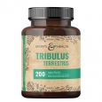 SPORTS & HEALTH Tribulus Terrestris 530 mg / 200 Caps