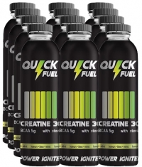 QUICK FUEL Power Igniter / 12 x 500 ml