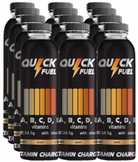 QUICK FUEL Vitamin Charger / 12 x 500 ml