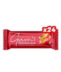 GAM'S Limited Edition Protein Bar Box / 24 x 50 g