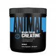 ANIMAL Creatine 1250 mg / 300 Caps