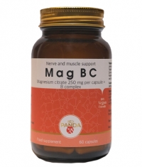 RED PANDA Mag BC / 60 Caps