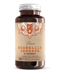 FOCUS SUPPLEMENTS Boswellia / 120 Caps