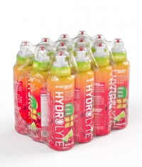 EVERBUILD HydroLyte / 12 x 400 ml