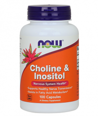 NOW Choline & Inositol 500mg. / 100 Caps.