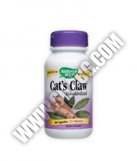 NATURES WAY Cat's Claw Standardized 60 Caps.