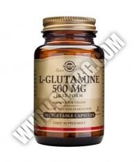 SOLGAR L-Glutamine 500 mg. / 50 Caps.