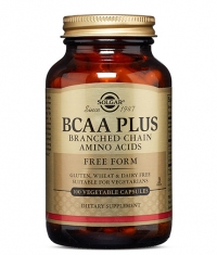 SOLGAR BCAA Plus 50 Caps.