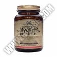 SOLGAR Advanced Multi-Billion Dophilus 60 Caps.