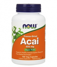 NOW Acai 500 mg / 100 VCaps