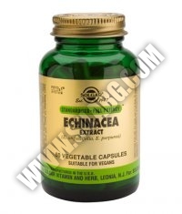 SOLGAR Echinacea Extract, S.F.P. 60 Caps.