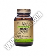 SOLGAR Ginger Root Extract, S.F.P. 60 Caps.