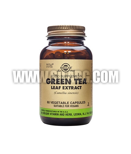 SOLGAR Green Tea Leaf Extract, S.F.P. 60 Caps.