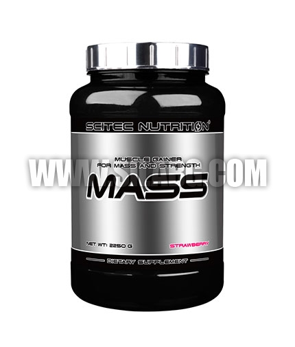 SCITEC Mass 2.250