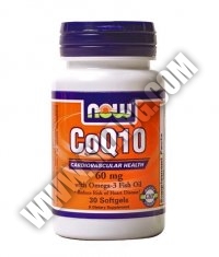 NOW CoQ10 w/Omega 3 Fish Oils 60mg. / 30 Softgels