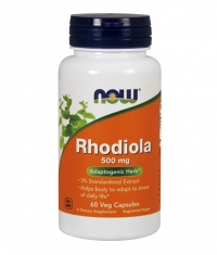 NOW Rhodiola 500 mg / 60 Vcaps
