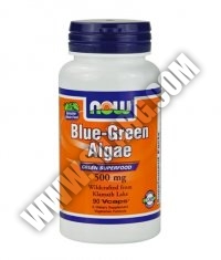 NOW Blue-Green Algae 500mg. / 90 VCaps.