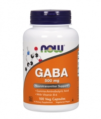 NOW GABA + B-6 / 500mg. / 100 Vcaps.