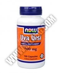 NOW Uva Ursi 500mg. / 100 Caps.