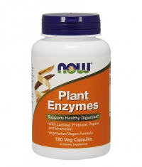 NOW Plant Enzymes 120 VCaps.