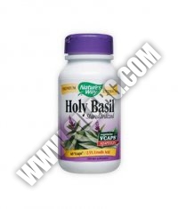 NATURES WAY Holy Basil Standardized 60 Caps.