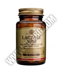 SOLGAR Lactase ,,3500’’ 30 Waffs.