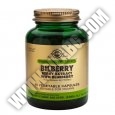 SOLGAR Bilberry Berry Extract with Blueberry, S.F.P. 60 Caps.