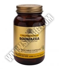 SOLGAR Echinacea, F.P. 100 Caps.