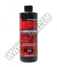 GNC Liquid L-Carnitine 474 ml.