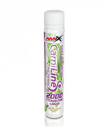 AMIX CarniLine Pro Fitness 2000 / 25 ml 0.025