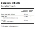 Grape Seed, Green Tea & Pine Bark Complex / 60 Caps