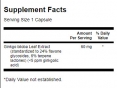 Ginkgo Biloba Extract 60mg. / 30 Caps