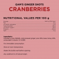 Ginger Shot / 24 x 60 ml